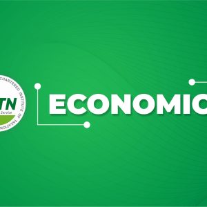 Economics (CITN Quiz)